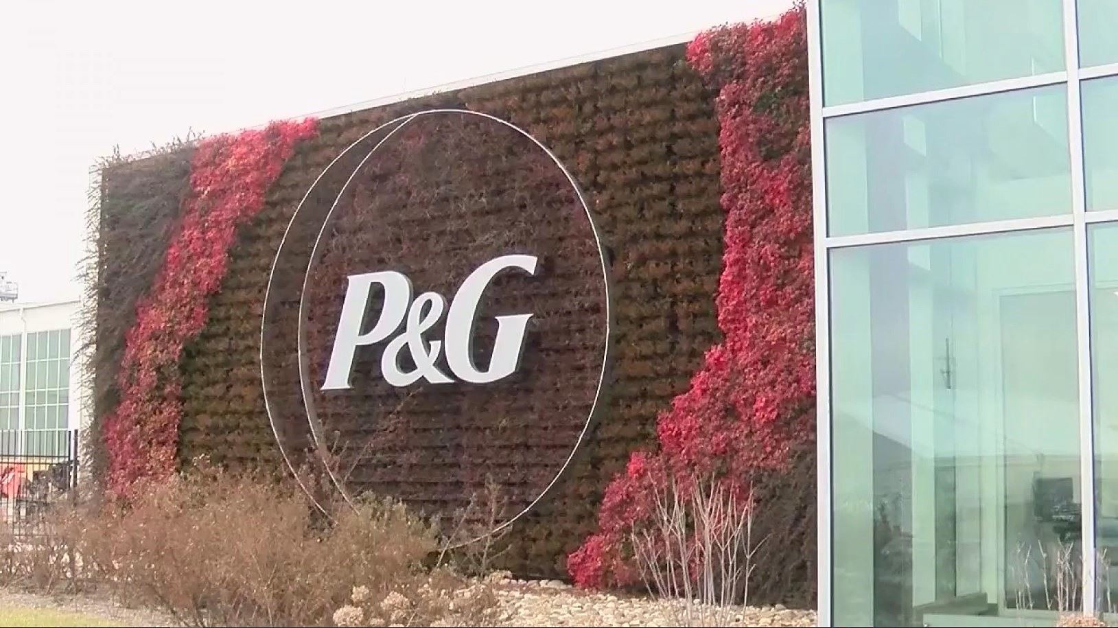 P & G